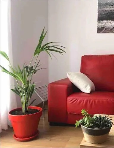 Turistico Casasali Apartmán